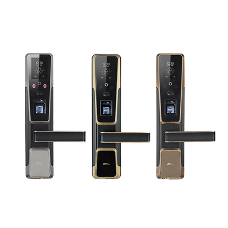 Smart Door Lock Biometric Face Recognition Fingerprint Door Lock (ZM100)