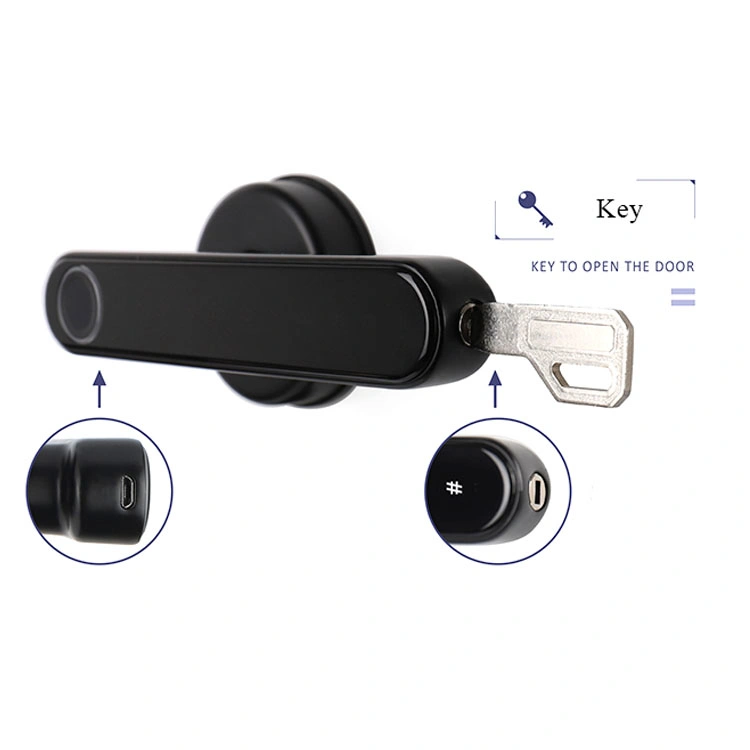 Electronic Door Lock Keyless Entry Door Lock, Door Locks with Keypads, Handle, Passcode, Fingerprint, APP