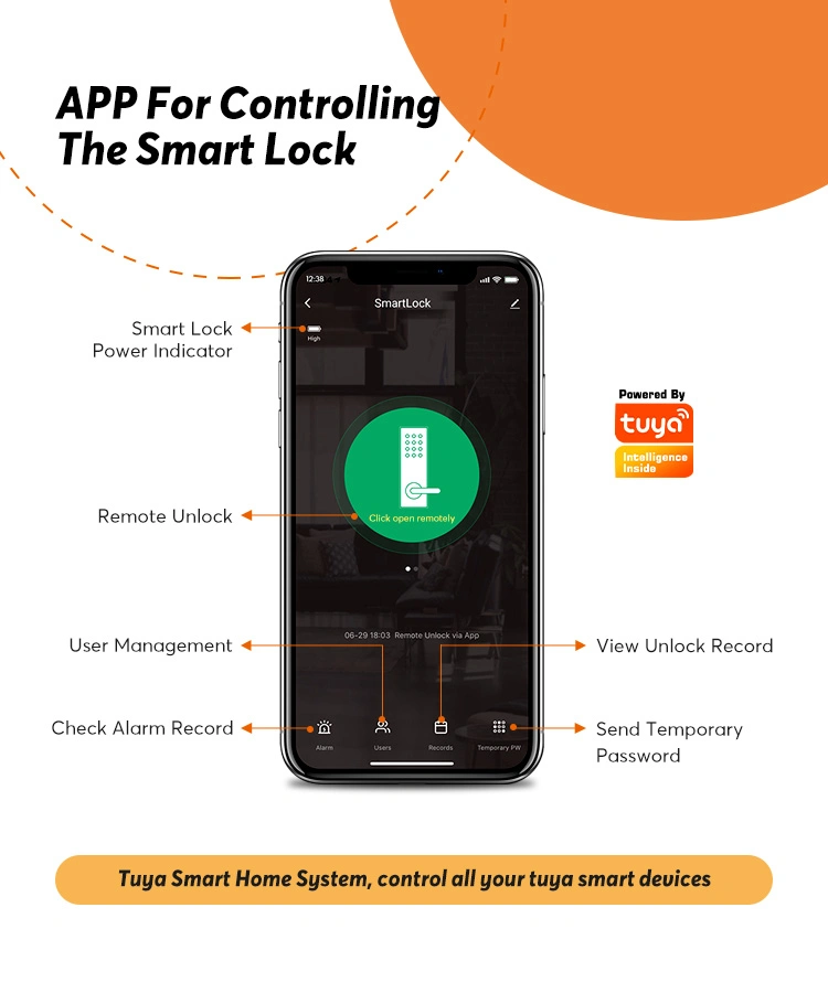 Home Electronic Door Lock with Keypad Support Tuya WiFi