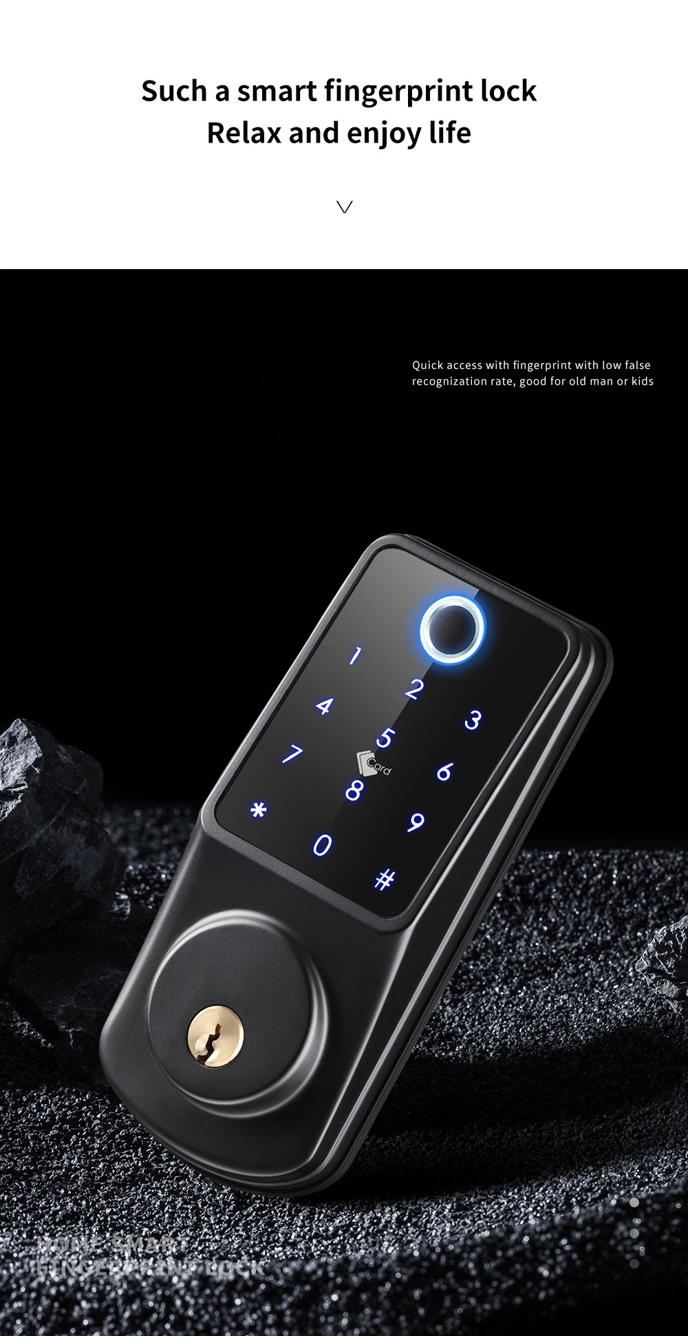 Smart Lock Thumbprint Biometric Intelligent Electronic WiFi Tuya Door Lock