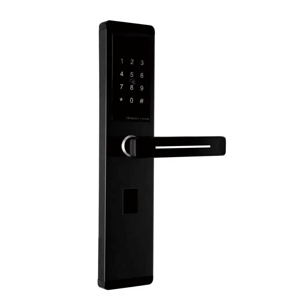 Electronic Digital IC Card Password Key Unlock Smart Door Lock for Hotel