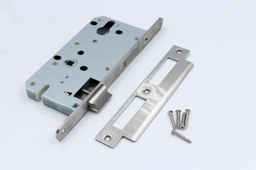 Liwang Stainless Steel 304 High Quality Trim Lever Handle with Plate Door Lock for Metal Door