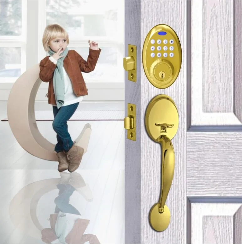 Digital Keypad Password Smart Handle Safe Door Lock (315FT)