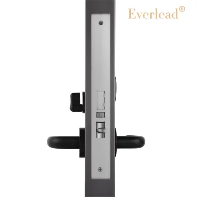 Productos populares Luz aristocrática de lujo Split dormitorio Smart Hotel Interior Cerradura de la puerta