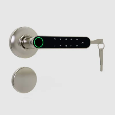 Cerradura electrónica de cerradura de puerta de entrada sin llave, cerraduras de puertas con teclados, el mango, el código de acceso, la huella digital, APP