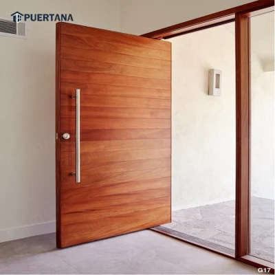 La puerta de entrada doble Diseño de la puerta de pivote con el contrachapado