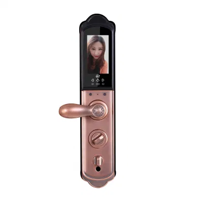 3D Face Fingerprint Smart Gate Lock Classic SEMI-Automatic APLICACIÓN biométrica Tarjeta digital Código de contraseña Puerta electrónica Villa cerraduras delanteras