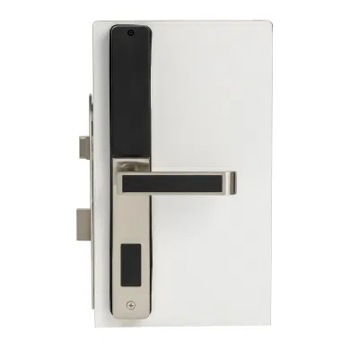 Tuya de huellas digitales biométrico de llave de hardware WiFi Inicio Rim Ttlock europeo del cilindro de cerradura de puerta inteligente dormitorio