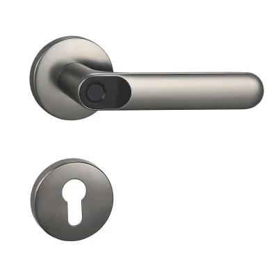 Smart Mango biométrico de huellas dactilares, cerradura de puerta de entrada sin llave cerradura electrónica, la seguridad de bloqueo de barra horizontal, ideal para la puerta delantera de la familia, Apartamento