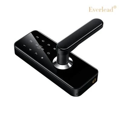 Viendo 6068 mortise Smart Digital Door Lock para su casa Seguridad