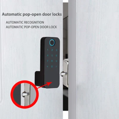 Smart WiFi se bloquea la puerta delantera para América del Sur