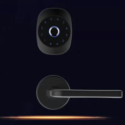 Seguridad Smart Bluetooth Digital Safe pantalla táctil pestillo de huellas digitales Cerradura de la empuñadura de la puerta para residencial