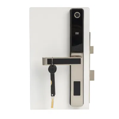Tuya de huellas digitales biométrico de llave de hardware WiFi Inicio Rim Ttlock europeo del cilindro de cerradura de puerta inteligente dormitorio