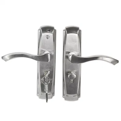 China ha hecho la empuñadura de puerta Accesorios puerta