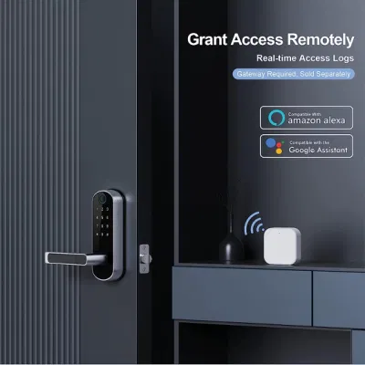 Wi-Fi Smart Lock con huella dactilar Smart Deadbolt Keypad Keyless Entry Puerta inteligente
