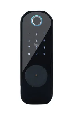 Home Apartamento Tuya TT Lock APLICACIÓN Smart Lock huella digital impermeable Teclado biométrico cerradura digital de puerta