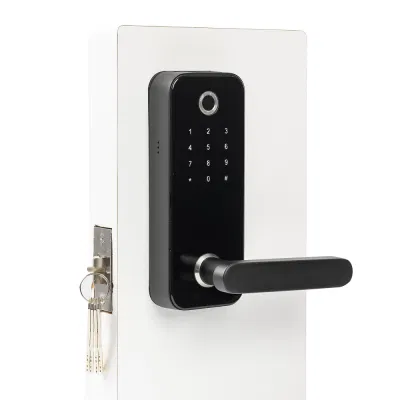 Teclado sin llave cerradura de puerta biométrico de huellas digitales para el hogar