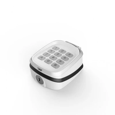 Teclado inalámbrico K5000 de 2 canales con 433,92MHz frecuencia y código variable Para puertas automáticas