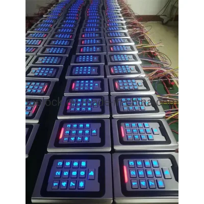 Teclado de entrada de la puerta de metal electrónica en el año 2000 del Código de usuario Contraseña de la tarjeta RFID