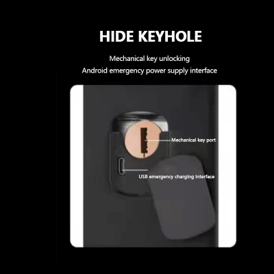 Yk-T1 One Grip to Open bloqueo automático de huellas dactilares inteligente Inicio Seguridad Tarjeta de deslizamiento Contraseña cerradura electrónica de madera Smart