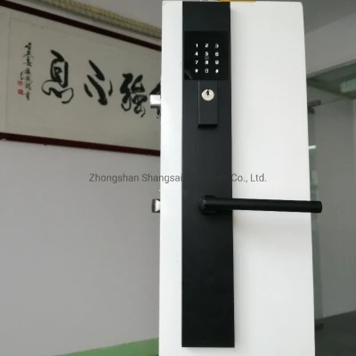 Conjunto de llaves de acceso, cerradura inteligente para puerta delantera, bloqueo de teclado de pantalla táctil