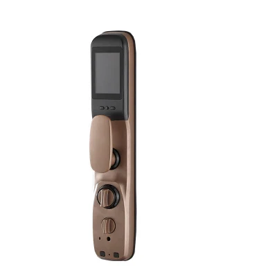 Reconocimiento facial 3D electrónica biométricos WiFi puerta exterior con cerradura de puerta Tuya Smart APP Lock visual del ojo de gato