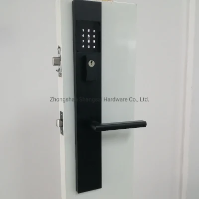 Conjunto de llaves de acceso, cerradura inteligente para puerta delantera, bloqueo de teclado de pantalla táctil