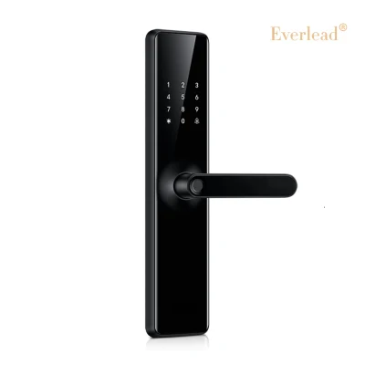 Tuya Ttlock APP RFID de huellas digitales de pantalla táctil de la llave de bloqueo con contraseña para el hogar