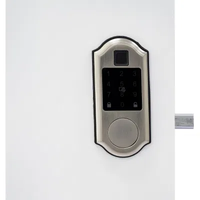 Cerradura de huella dactilar - Chainfun cerrojo cerradura de puerta de entrada sin llave, cerradura electrónica con el teclado - Cerradura de combinación