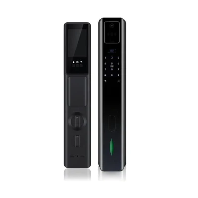 Proveedor mayorista Código PIN Biometric Digital Cerradura inteligente 3D Facial Reconocimiento Fingerprint TUYA APP Control remoto Smart Door Lock