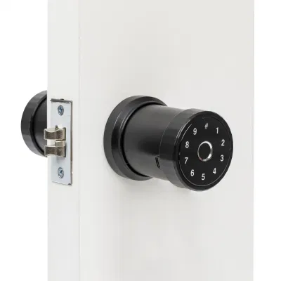 Contraseña Código de la tarjeta inteligente de huellas dactilares CERRADURA PARA PUERTA Habitación