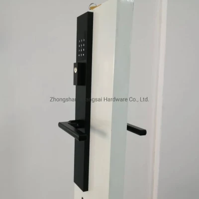 Conjunto de llaves de acceso, cerradura inteligente para puerta delantera, bloqueo de teclado de pantalla táctil
