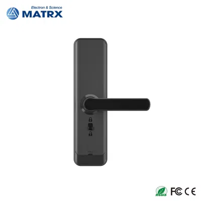 APLICACIÓN WiFi Smart Digital teclado electrónico y de huellas digitales Smart Door Bloqueo