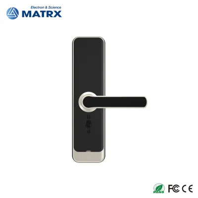 APLICACIÓN WiFi Smart Digital teclado electrónico y de huellas digitales Smart Door Bloqueo
