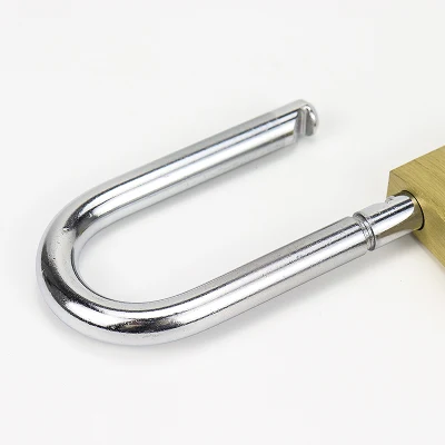 El cilindro de latón de la seguridad inteligente de China de 40mm Candado