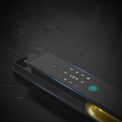 Digital Electronic 3D Face Recognition Smart Fingerprint Locks APLICACIÓN Ttlock Bloqueo inteligente de puerta de reconocimiento facial totalmente automático