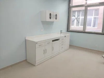 Armario de acero inoxidable Armario de cocina de acero inoxidable Cajón de puertas Knobs