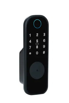 Home Apartamento Tuya TT Lock APLICACIÓN Smart Lock huella digital impermeable Teclado biométrico cerradura digital de puerta