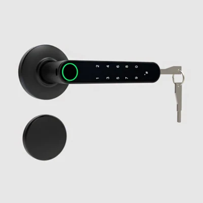 Cerradura electrónica de cerradura de puerta de entrada sin llave, cerraduras de puertas con teclados, el mango, el código de acceso, la huella digital, APP