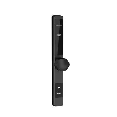 Impermeable inteligente Biométrica inteligente bloqueo de la casa WiFi Deadbolt Puerta al aire libre Gancho deslizante Smart bloqueo de puerta de aluminio