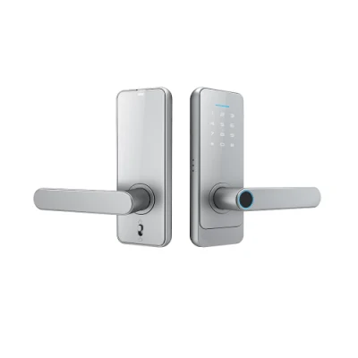 Home Apartamento Keyless Smart cerradura de puerta Fingerprint Lock inteligente electrónico Bloqueo