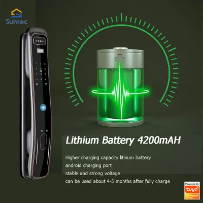 Seguro de bloqueo Lockly PRO Smart WiFi de acceso de huella dactilar con cerrojo