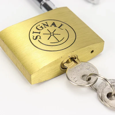 El cilindro de latón de la seguridad inteligente de China de 40mm Candado