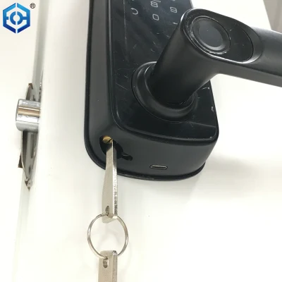 Teclado de huellas digitales inteligente de acceso sin llave Código de acceso cerradura digital biométrica de la puerta