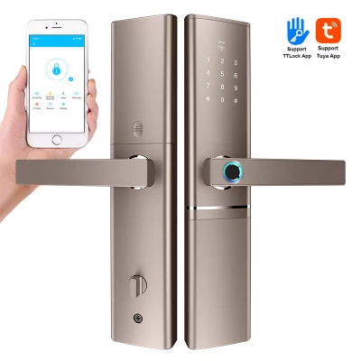 Puerta de acceso sin llave llave Smart Door Lock Digital Biomic Fingerprint Door Bloquear el trabajo con Alexa Google Home para Airbnb Alquiler de apartamento