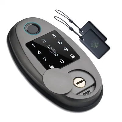WiFi teléfono móvil inteligente de control remoto de electrónica de la tarjeta de la aplicación de la contraseña de bloqueo de puertas para Abnb cerrojo