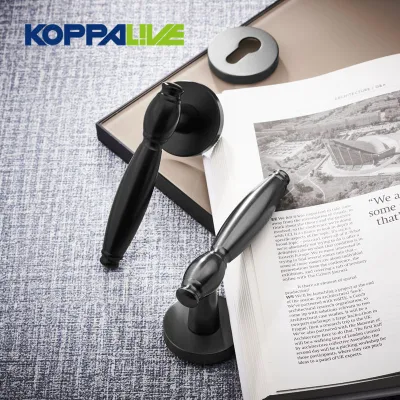 Koppenive Nuevo Diseño de latón de madera Puerta de bloqueo Oro Interior Privacidad Palanca de paso para puerta de la casa