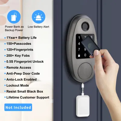 WiFi teléfono móvil inteligente de control remoto de electrónica de la tarjeta de la aplicación de la contraseña de bloqueo de puertas para Abnb cerrojo