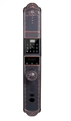 3D Face Fingerprint Smart Gate Lock Classic SEMI-Automatic APLICACIÓN biométrica Tarjeta digital Código de contraseña Puerta electrónica Villa cerraduras delanteras