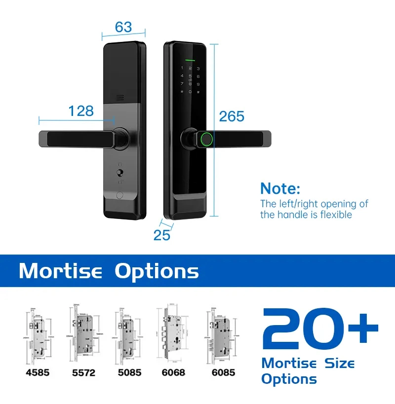 Supports 8 Languages Tt Lock Biometric Fingerprint Smart Lock Keyless Entry Security Electronic Keyboard Bedroom Apartment Office Door Lock